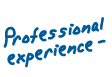 Professional experience